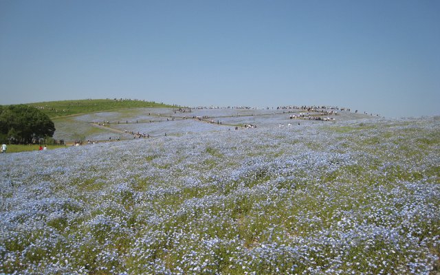 みはらしの丘全景