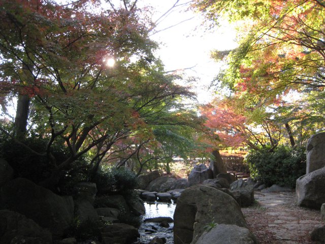 小川と紅葉